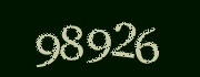 Security check