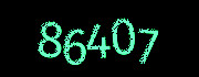 Security check